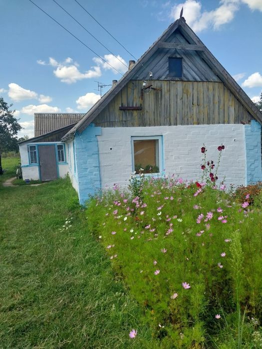 Продам будинок в селі Мартинівка