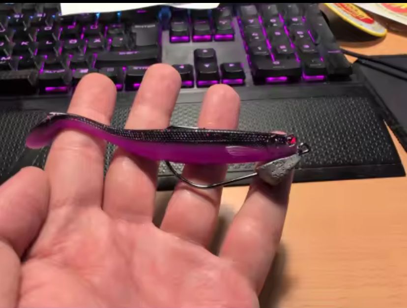 Fishing 3D  Miękka przynęta 100 mm 4 szt