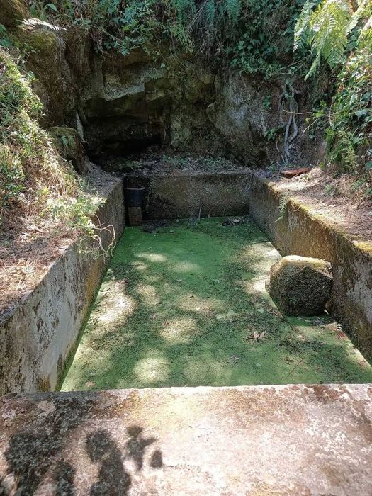 VENDA Quinta de 1,4 ha com casa de Arrumos em Vale de Prazeres, Portugal - 119.000€