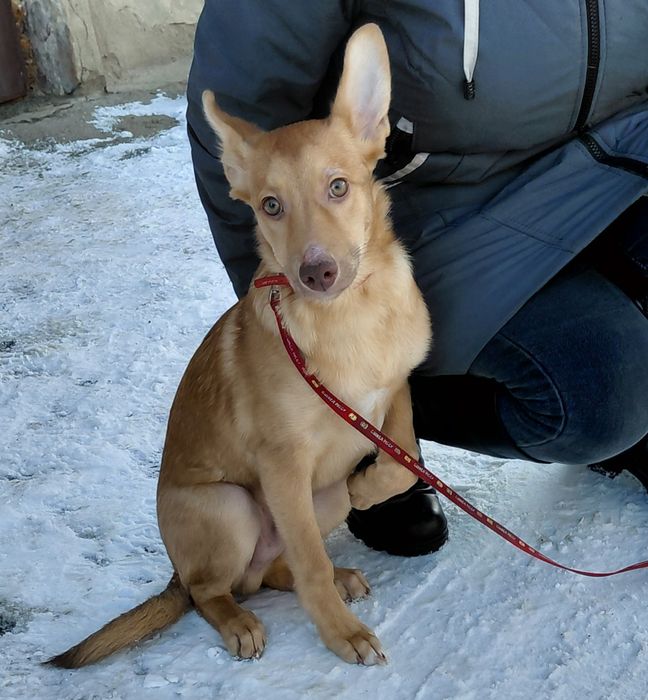 Хлопчик шукає родину!