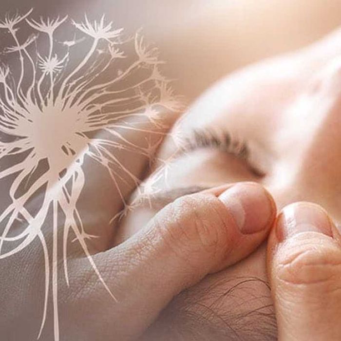 Barras de Access - Pratitioner