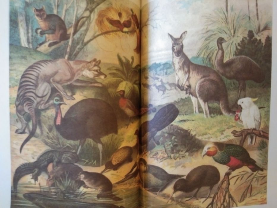 Альфред Брем. ,,Жизнь животних''