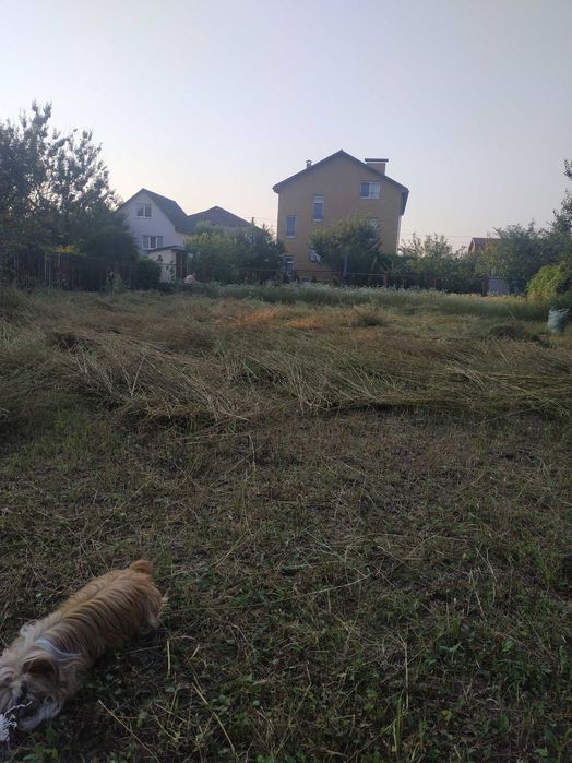 Продам земельну ділянку в с. Романків