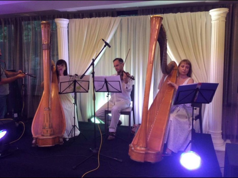 Арфа. арфистка на праздник