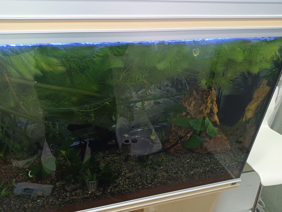 Aquário Completo Rena 300L 1,2m com Armário e Equipamento