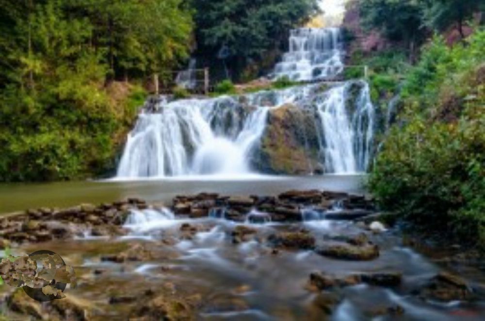 Екскурсії Кам'янець-Подільський, Бакота, Хотин, Кривче, Карпати.