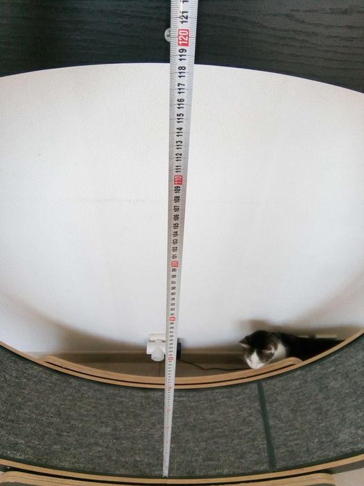 Cat exercise wheel