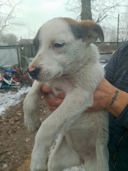 Мрію про люблячу родину!