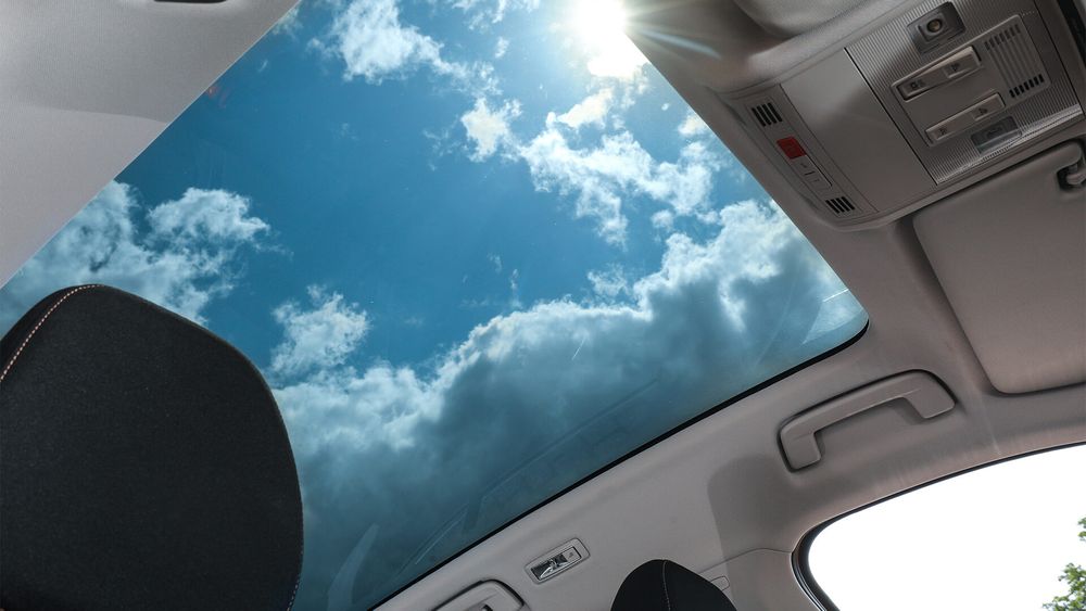 Zdjęcie w galerii numer 12