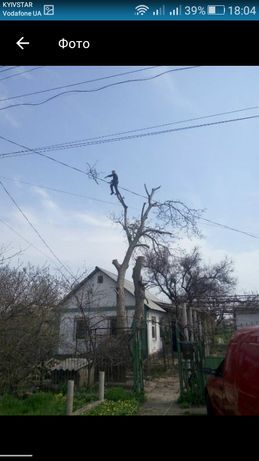 Спил деревьев любой дробление веток сложности ПОКОС ТРАВЫ