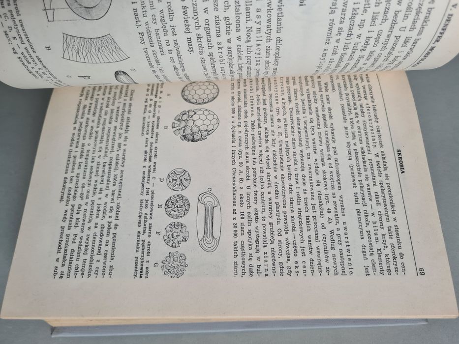 Botanika - E. Strasburger