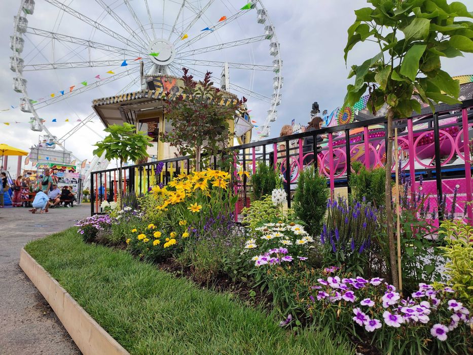 Projekt ogrodu wraz z realizacją