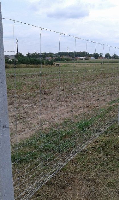 Ogrodzenie siatka leśna betonowe słupki