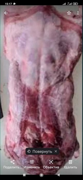 Продам м'ясо бобра