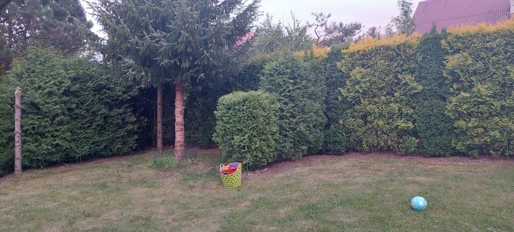 Piękna działka ROD na sprzedaż