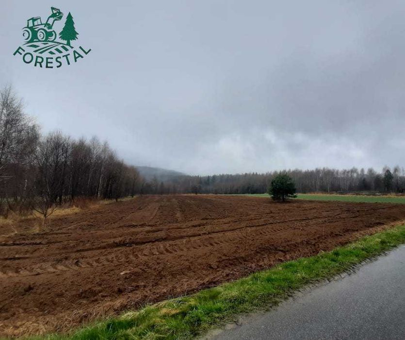 Mulczer leśny, wgłębny, wycinka drzew, rekultywacja,