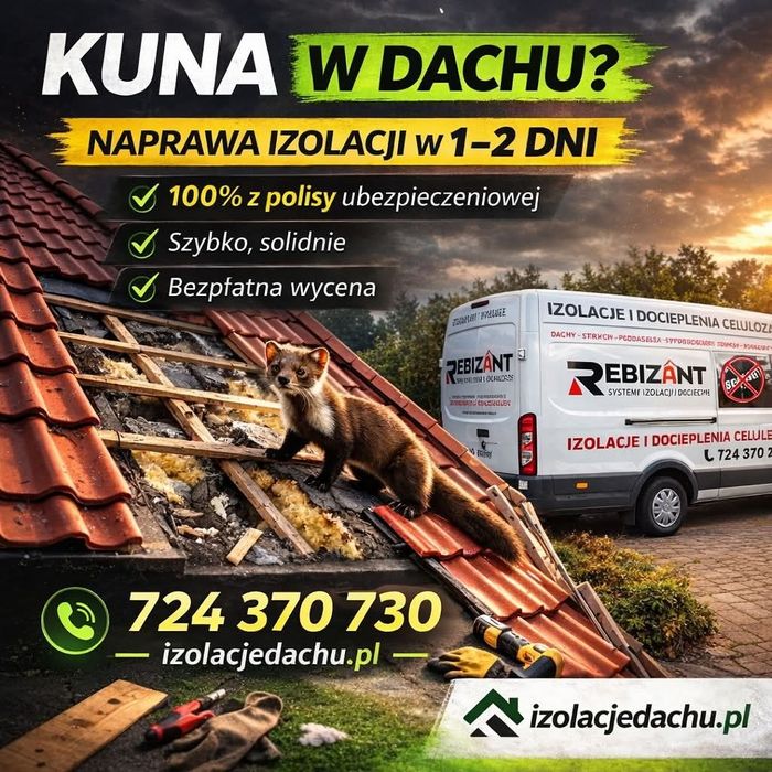 Naprawy izolacji dachów po kunach za darmo, 100% z ubezpieczenia