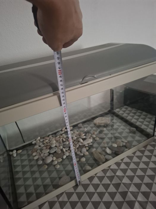 Aquarium  peixes