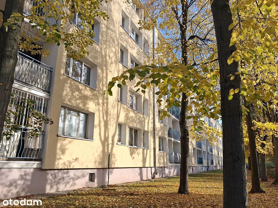 M4 Dąbrowa parter z balkonem