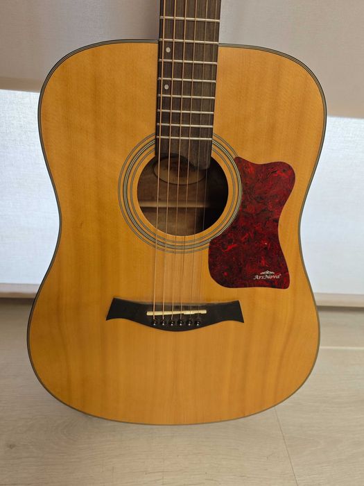 Gitara Ars Nova AP-500