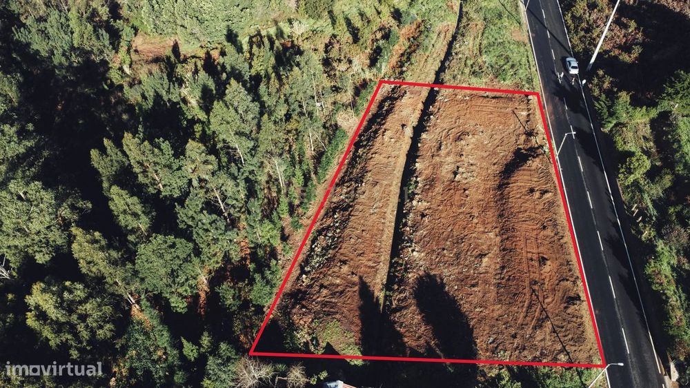 Terreno Rústico com Viabilidade de Construção - Camacha