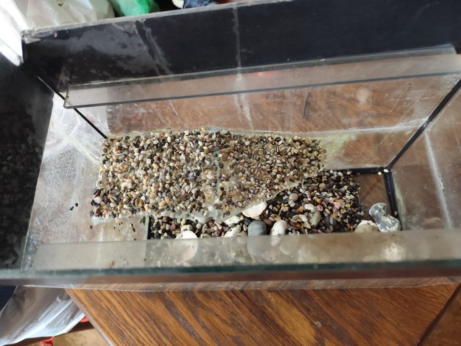 Продам черепашник