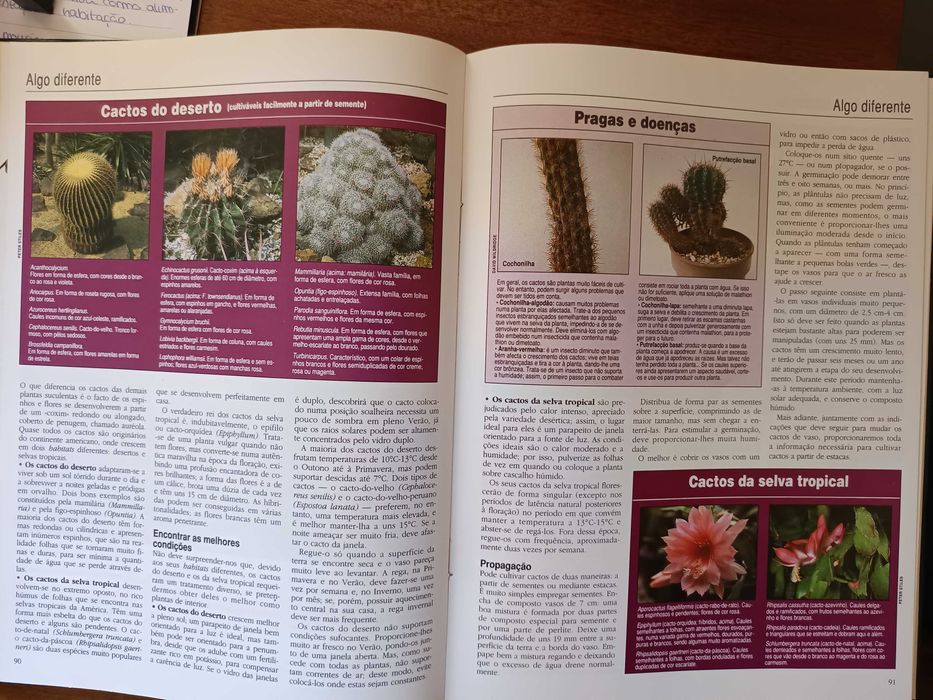 Para ter plantas saudáveis e viçosas!