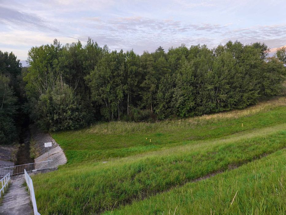 SULISTROWICE - 1,25 ha - Las - Ślęża - Potencjał Rekreacyjny - 35 zł/m2 - Widok 2