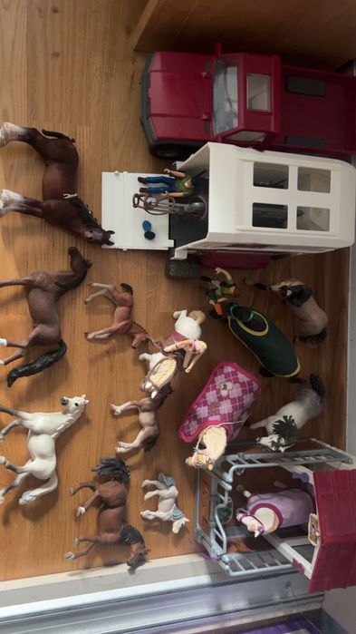 Koniki schleich zestaw