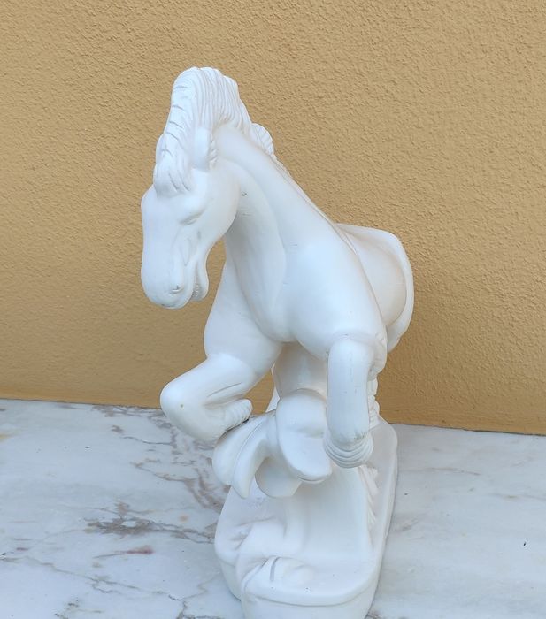 Cavalo Branco Selvagem