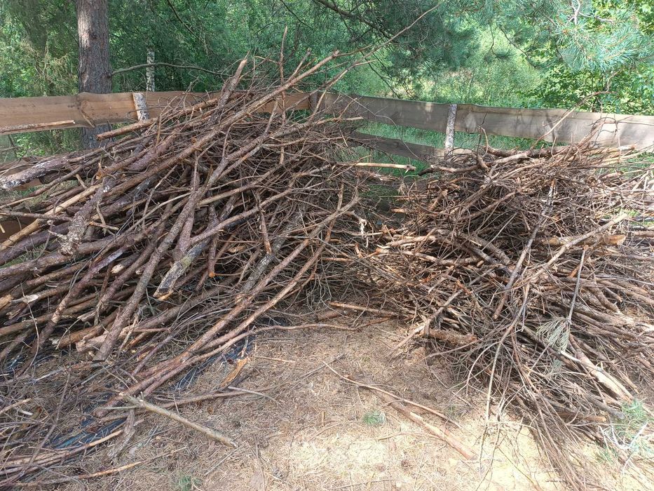 Gałęziówka, gałęzie, chrust - sosna, drewno opałowe - nowa wycinka