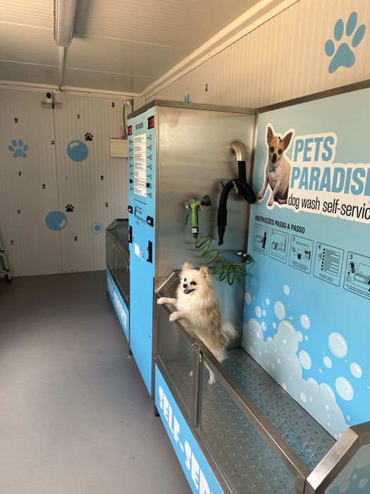 Dog wash self-service