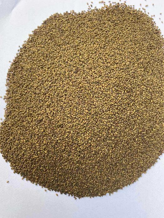 Продам насіння  люцерни  .прочищена,  магниченна