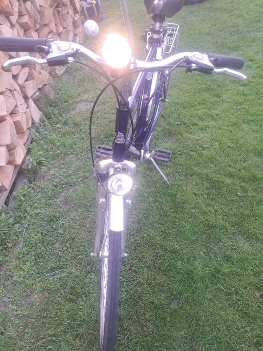 Rower Pegasus Laola