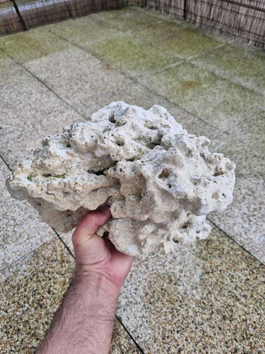 Pedra Coral para aquário
