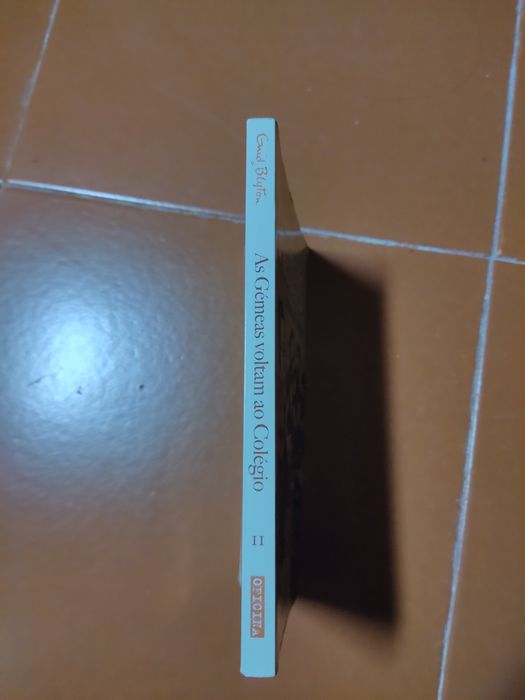 Livro n°2 As Gémeas