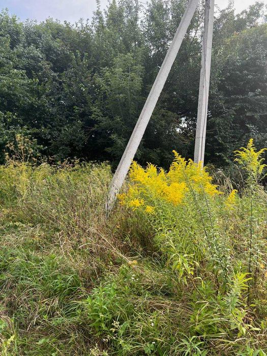 Земля Піддубці сільськогосподарського призначення 20сот