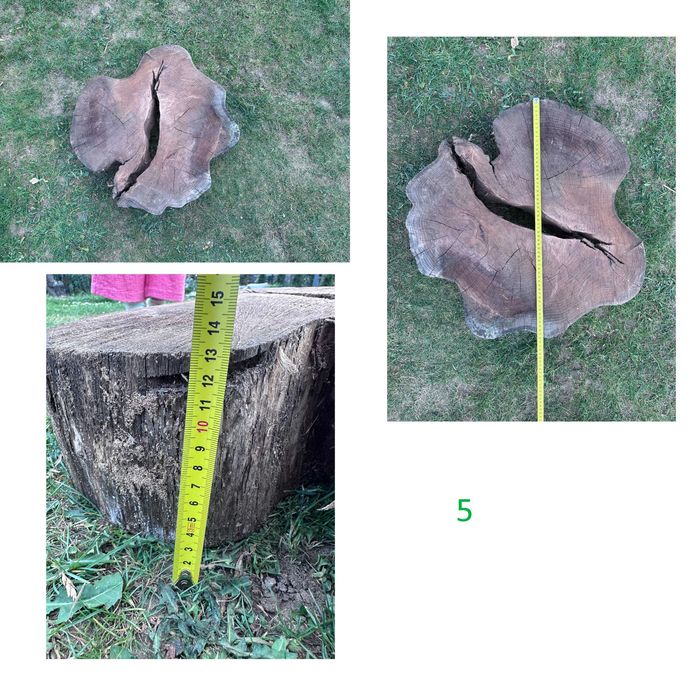Plastry Akacjowe płaty akacji różne 50-70cm suche