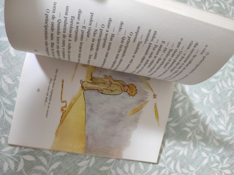 Livro o Pricepesinho