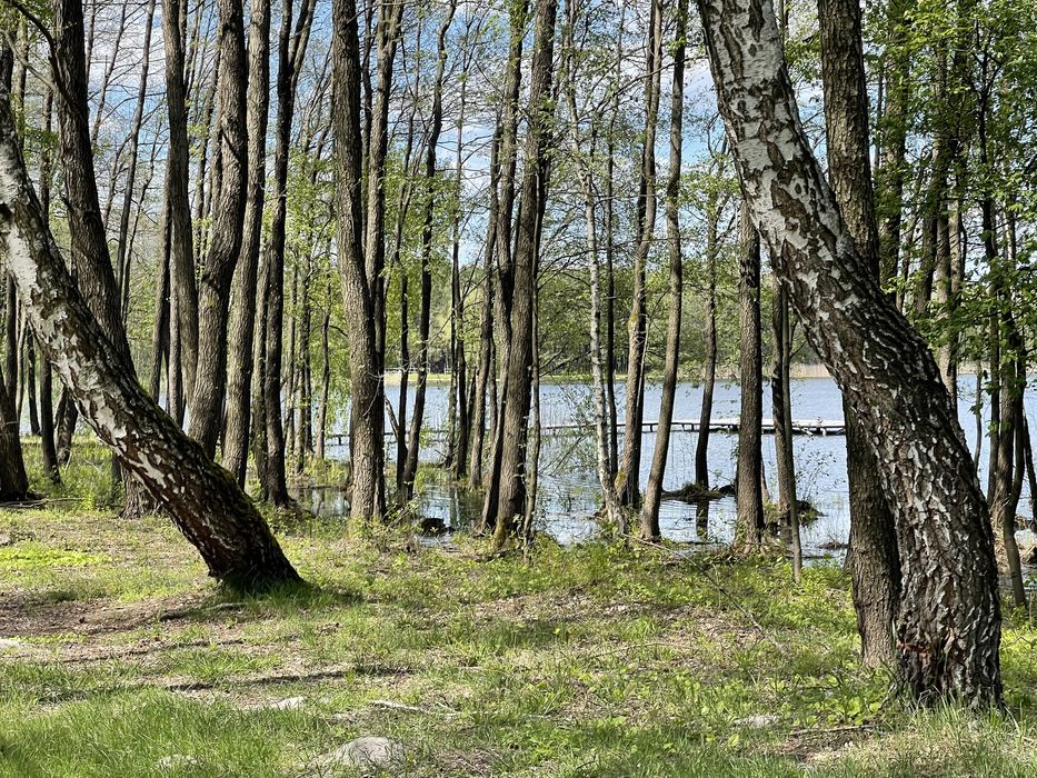 Продам земельну ділянку на березі озера: 900 $ - Продаж землі Соловичі ...
