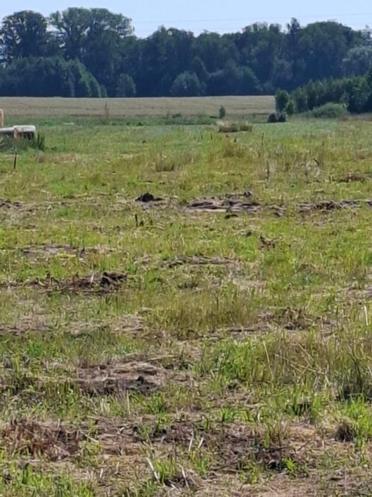 Działki budowlane w Rynkach, tylko 20 km od Białegostoku