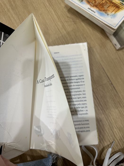 livro Amândio Reis - A CASA TRANSPARENTE