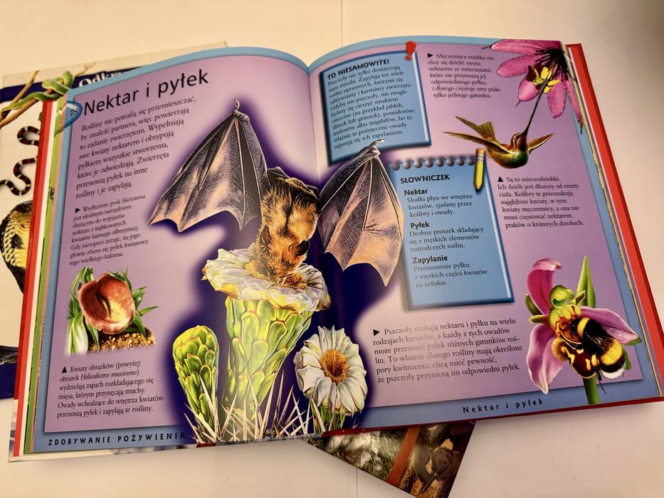 Książki o zwierzętach Albumy edukacyjne