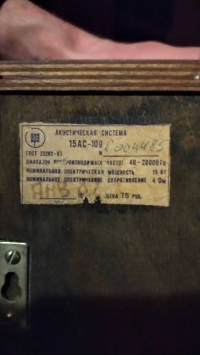 Акустическая система ВЕГА 15 АС-109