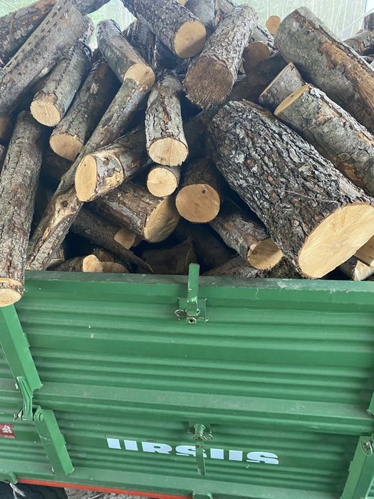 Drewno opałowe olcha