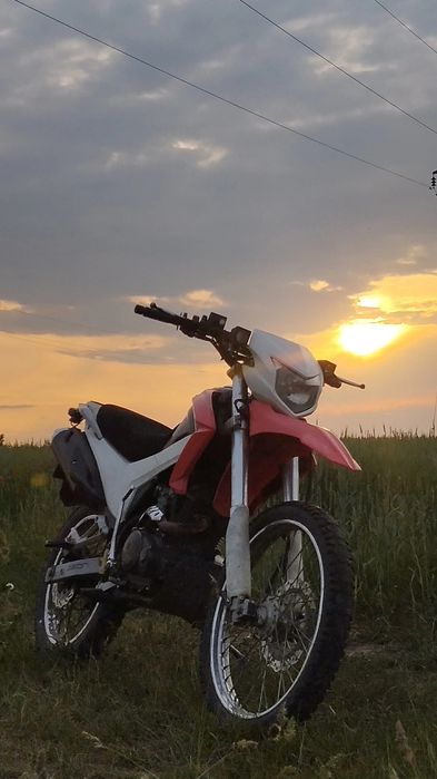 Geon x-road 202 2018