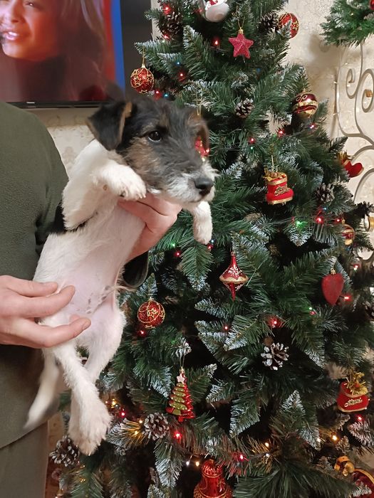 Крутой парень с документами Одесса