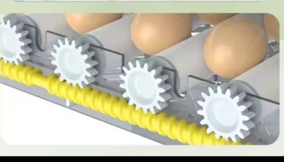 Rodas dentadas carretos incubadora