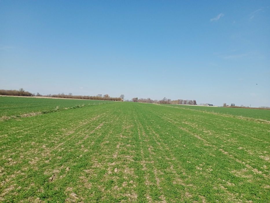 Działki budowlane