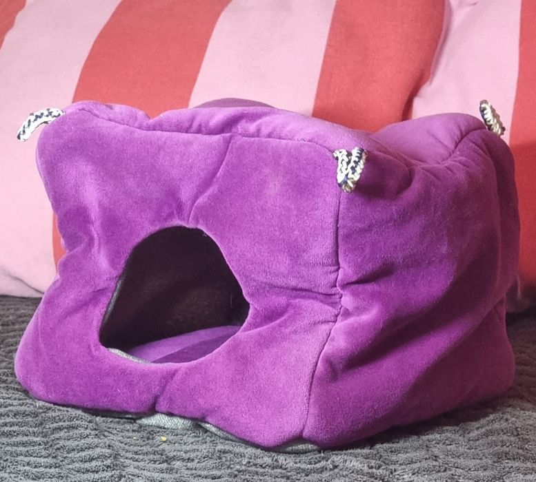 Будиночок для гризунів